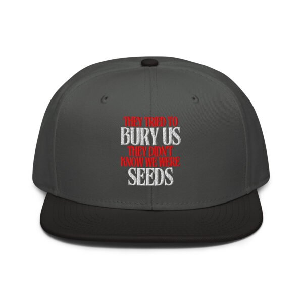 They Tried To Bury Us | We Were Seeds Snapback Hat